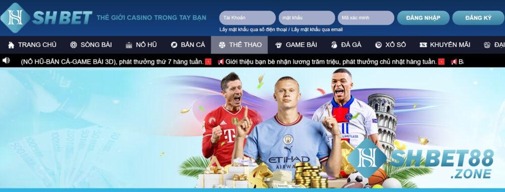 Sảnh BTI Shbet là gì? Vì sao nên chọn cá cược tại BTI Shbet?