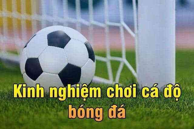 Hướng dẫn cách soi kèo bóng đá chi tiết từ A - Z 8 Bỏ túi được một số kinh nghiệm soi kèo giúp bạn chơi cá độ bóng đá hiệu quả hơn